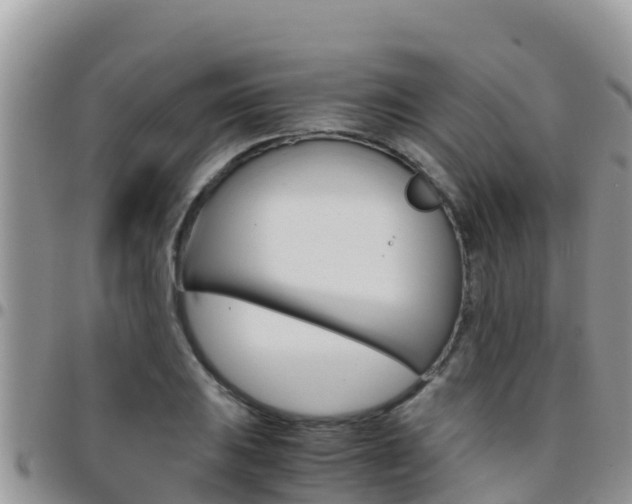 X0000096201031200801181026