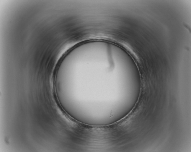 X0000096201032200801181026