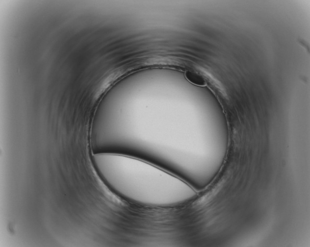 X0000096201033200801181026