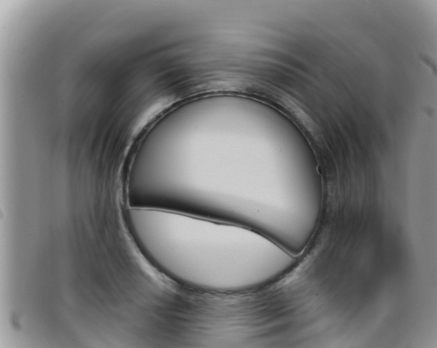 X0000096201034200801181026