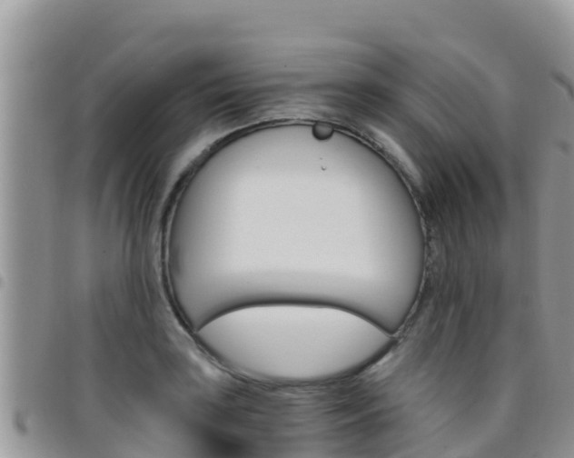 X0000096201035200801181026