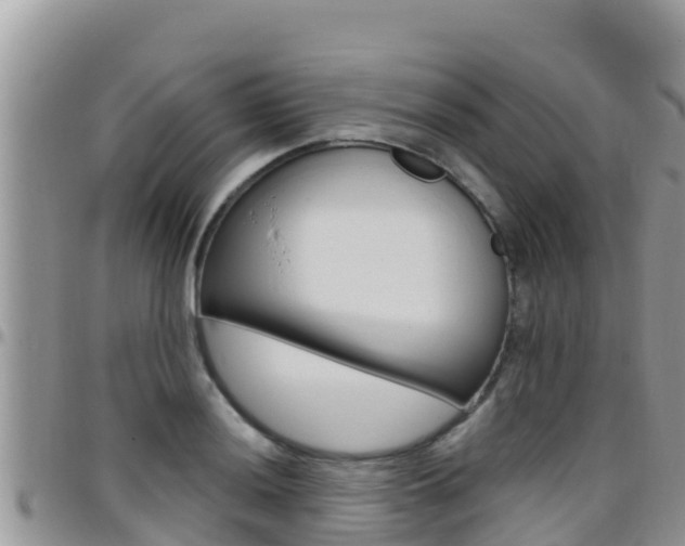 X0000096201036200801181026