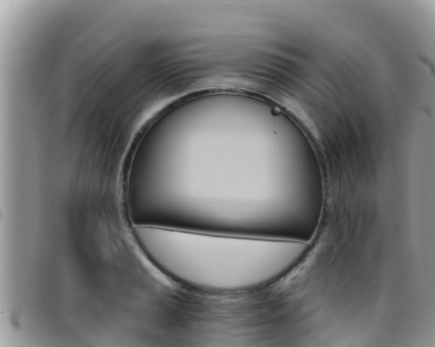 X0000096201037200801181026