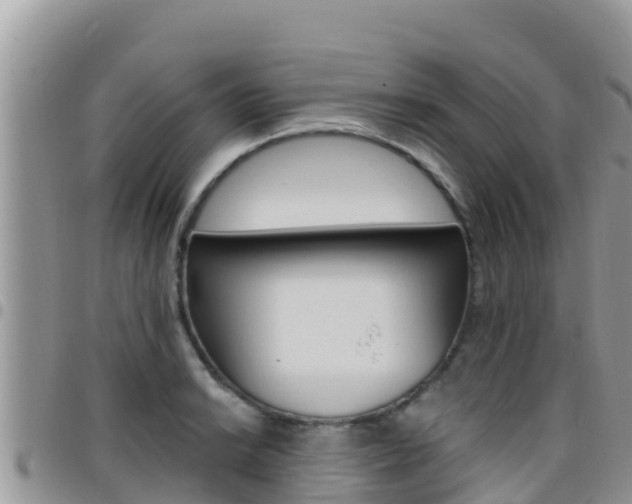 X0000096201038200801181027