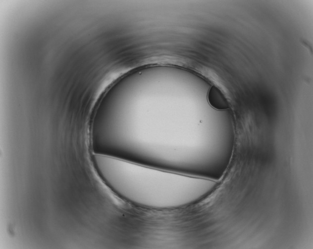 X0000096201040200801181027