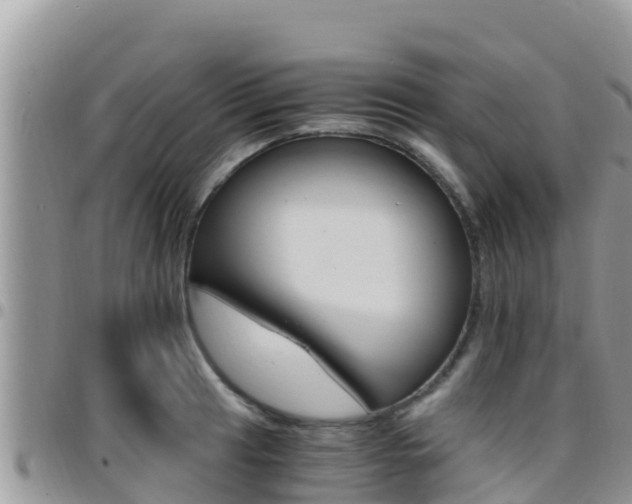 X0000096201041200801181027