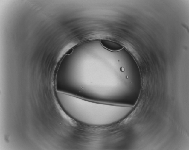 X0000096201042200801181027