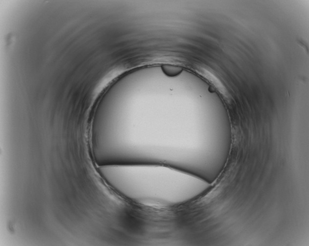 X0000096201043200801181027