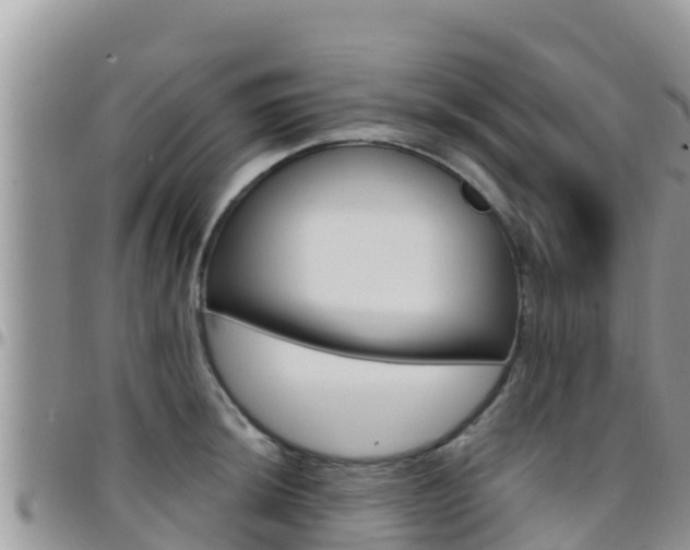 X0000096201044200801181027