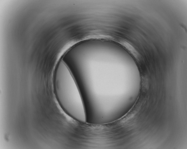 X0000096201046200801181027