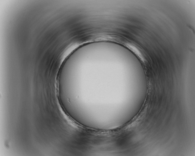 X0000096201047200801181027