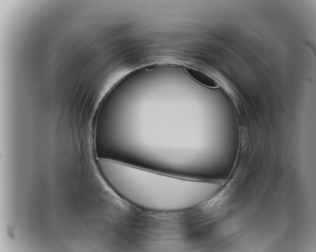 X0000096201048200801181027