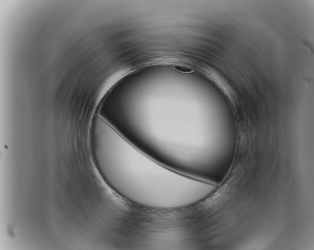 X0000096201050200801181027
