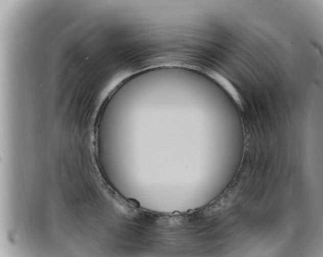 X0000096201051200801181027
