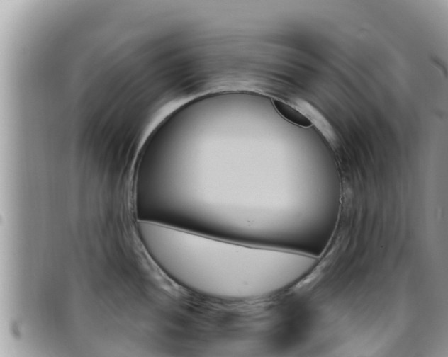 X0000096201052200801181027