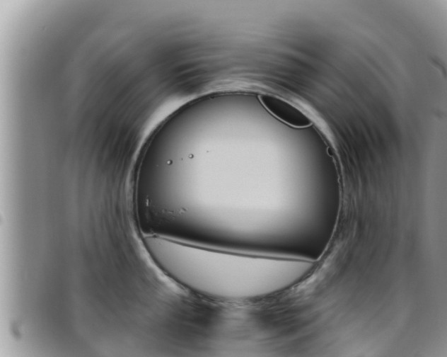 X0000096201053200801181027