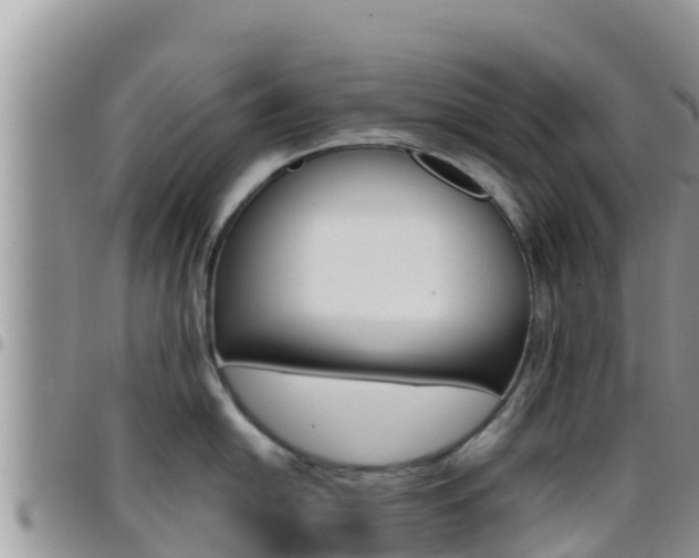 X0000096201054200801181027