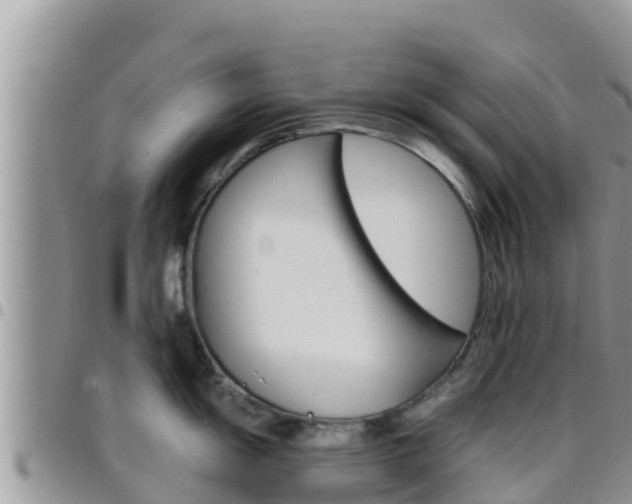 X0000096201055200801181027