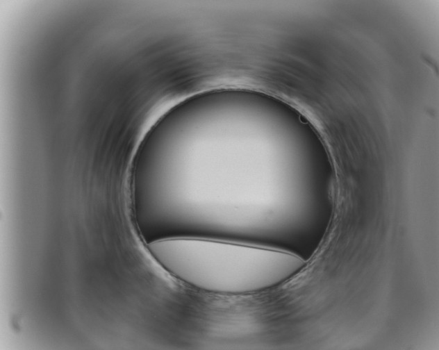 X0000096201056200801181027