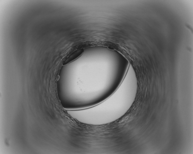 X0000096201057200801181026