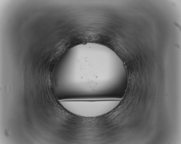 X0000096201058200801181026