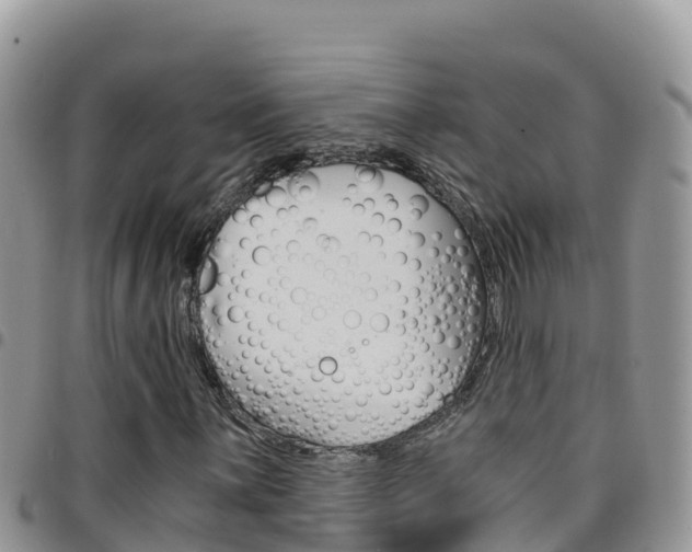 X0000096201059200801181026