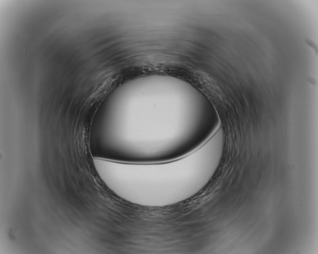 X0000096201060200801181026