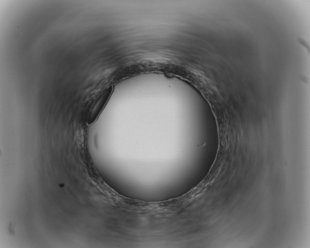 X0000096201061200801181026