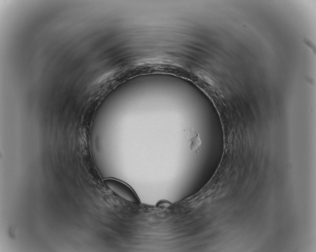 X0000096201062200801181026