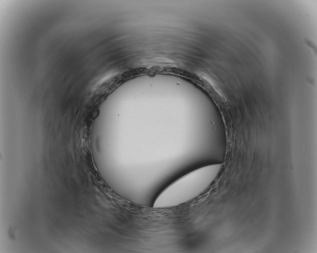 X0000096201063200801181026