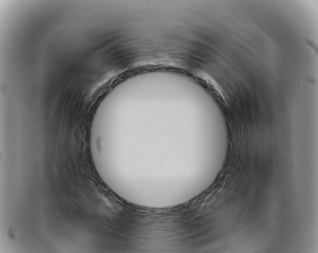 X0000096201064200801181026