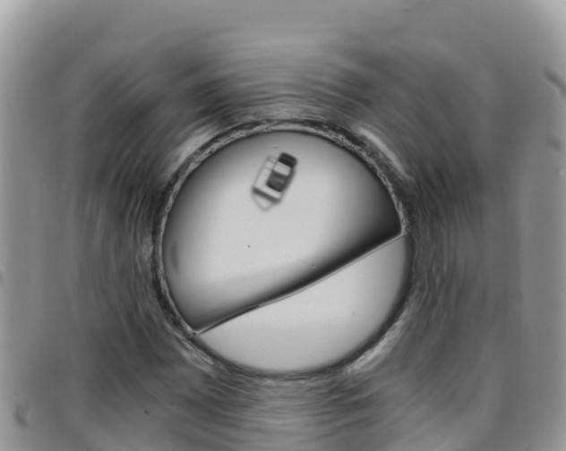 X0000096201065200801181026
