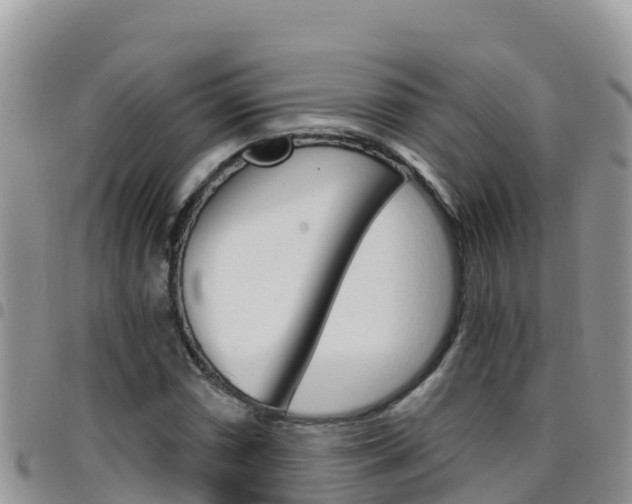 X0000096201066200801181026