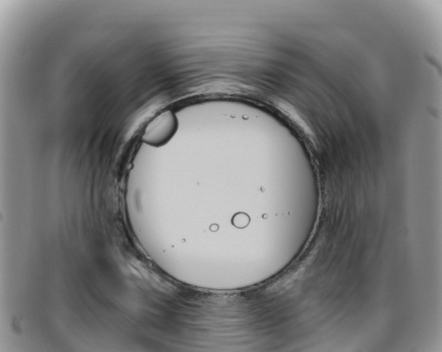 X0000096201067200801181026