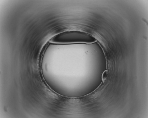 X0000096201068200801181026