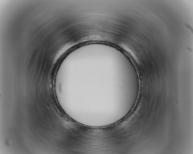 X0000096201070200801181026