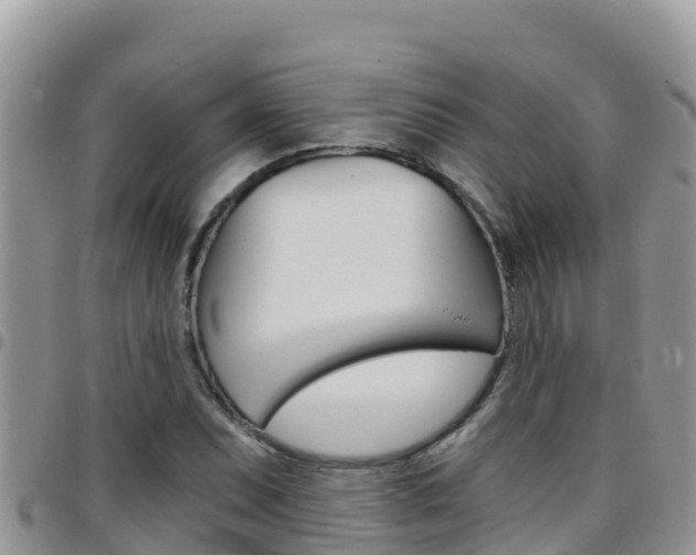 X0000096201071200801181026