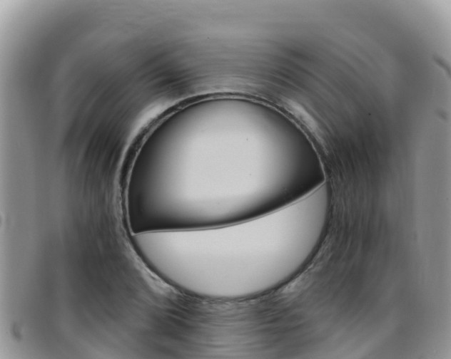 X0000096201072200801181026