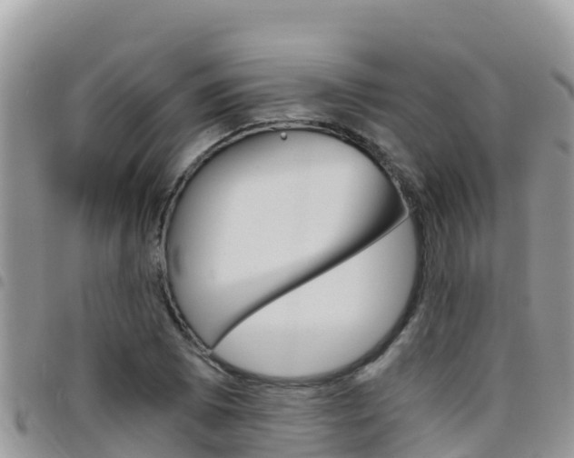 X0000096201073200801181026