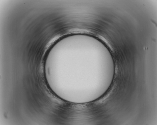 X0000096201074200801181026