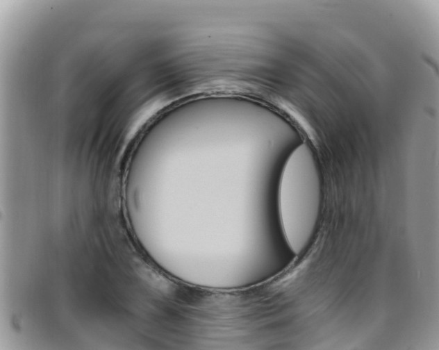 X0000096201075200801181026