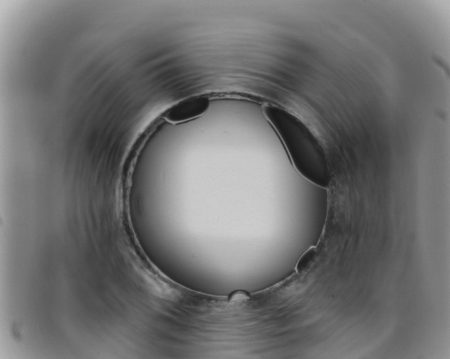 X0000096201076200801181026
