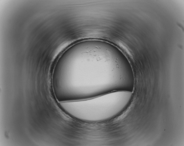 X0000096201077200801181026