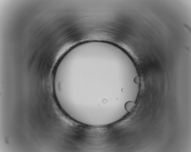 X0000096201078200801181026