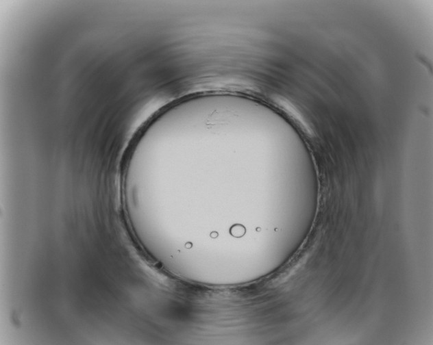 X0000096201079200801181026