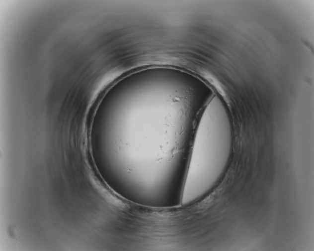 X0000096201080200801181026