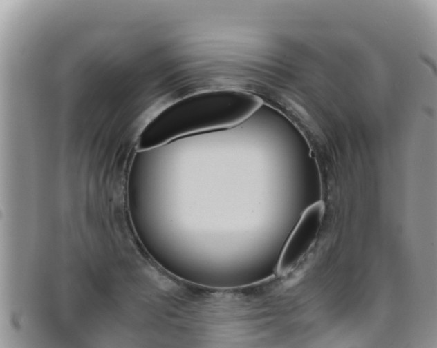 X0000096201081200801181026