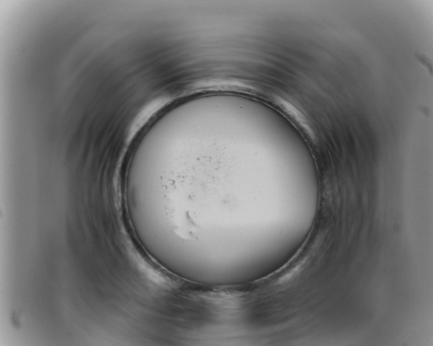 X0000096201082200801181026