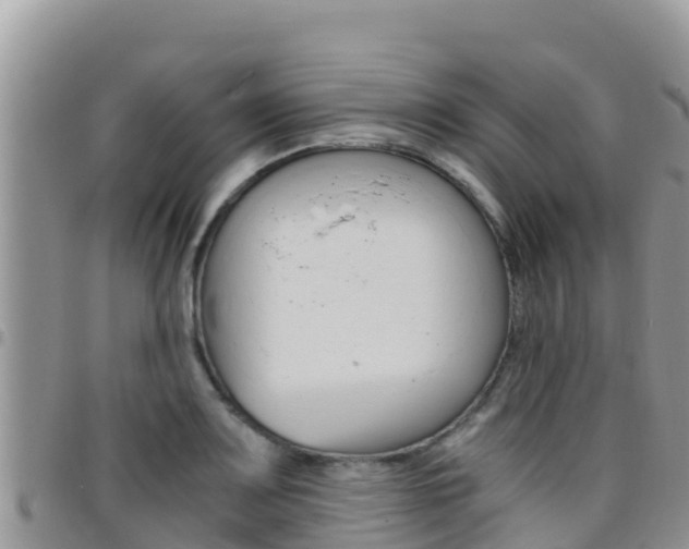 X0000096201083200801181026