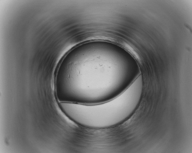 X0000096201084200801181026